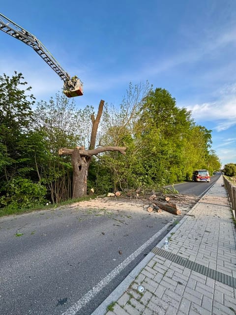 Hasič v koši výškové techniky odstraňuje poškozený strom